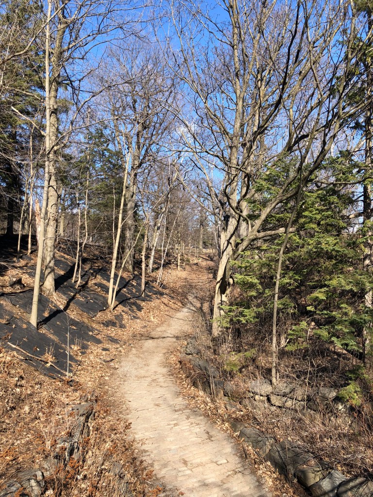 A winding trail flanked by trees on Mont Royal in Montreal. There is blue sky and sunshine. 